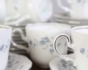Blue Garland Johann Haviland Bavarian China, Cups, Saucers, Plates
