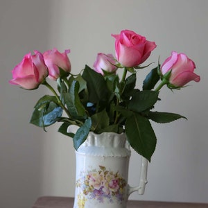Antique Rose Porcelain Pitcher or Creamer C.T. Carl Tielsch-Germany