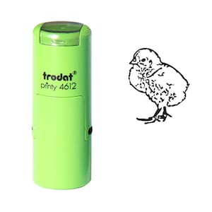 Timbre chick