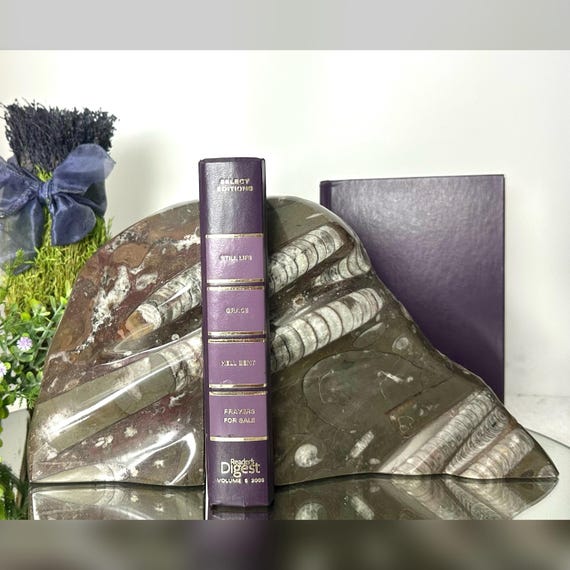 Book Ends Fossil Ammonite & Orthoceras / Stone Fossil Book Ends / Ammonite Nautical Stone Book Holders/  Large 11 lbs Stone Bookends