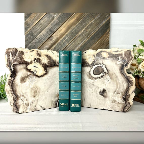 Petrified Wood Bookends / Cypress Wood Book Ends / Polished Stone Book Holders / Cypress Petrified Wood Bookends / Petrified Book Holders