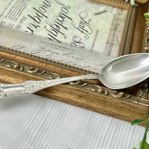 May include: A polished silver-toned spoon featuring an intricate embossed floral and shell pattern along the handle. The spoon has a smooth, oval-shaped bowl and a decorative, ornate design extending from the base of the handle to the neck.