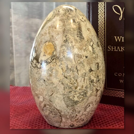 Fossil Natural Stone Egg / Carved Stone Statue / Polished Stone / Marble Egg Statue / Collectible / Office Statue / Home and Living Decor