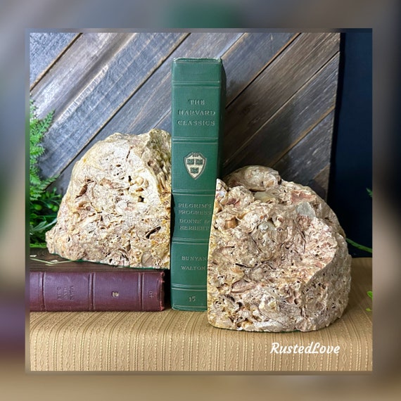 Stone Book Ends / Natural Stone / Decorative Petrified stone / Fossils / Skeleton Shells / Office Decor / Paperweights / Desk Decoration