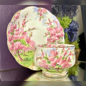 Royal Albert Blossom Time - Etsy