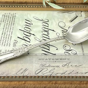 May include: A silver-toned metal spoon featuring an ornate, embossed floral and scrollwork pattern along the handle. The spoon has a smooth, polished oval bowl and a decorative, flared end, showcasing intricate detailing throughout the handle.