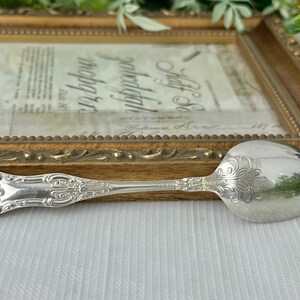 May include: A silver-toned metal spoon featuring an ornate, embossed floral and shell pattern along the handle and the base of the bowl. The spoon has a polished, reflective surface with intricate scrollwork detailing extending from the handle.