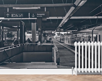 Train Station Wallpaper, Modern Black and White Wall Mural, Large Luxury Wall Decal for Livingroom or Office, Peel and Stick or Traditional
