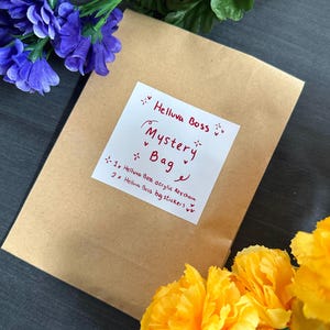 Op de afbeelding: Een bruine papieren zak met een wit label waarop staat: "Helluva Boss Mystery Bag - 1x Helluva Boss acryl sleutelhanger 2x Helluva Boss grote stickers"
