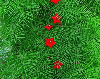 Cypress Vine (Ipomoea quamoclit Cardinalis) 10 Flower Seeds