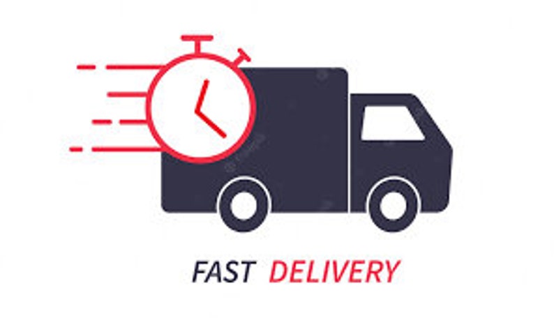 May include: A red stopwatch icon on top of a grey delivery truck with a white background. The truck is moving quickly, indicated by red lines behind it. The text "FAST DELIVERY" is below the truck.