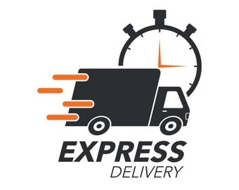 ADD ON 1 to 5 Day  UPS Ground Shipping For Vinyl Record & Jacket Orders