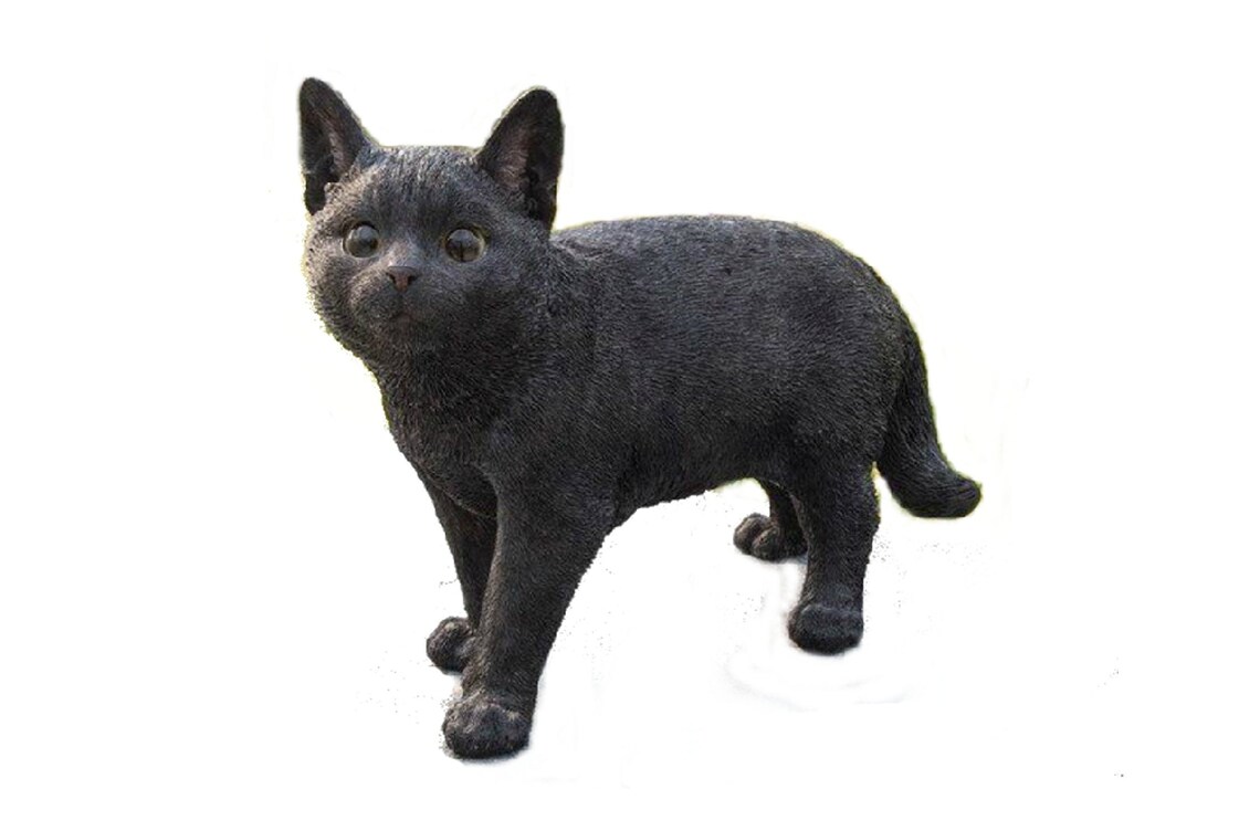 Black Cat Statue Walking Looking Left Statue Home Décor Etsy