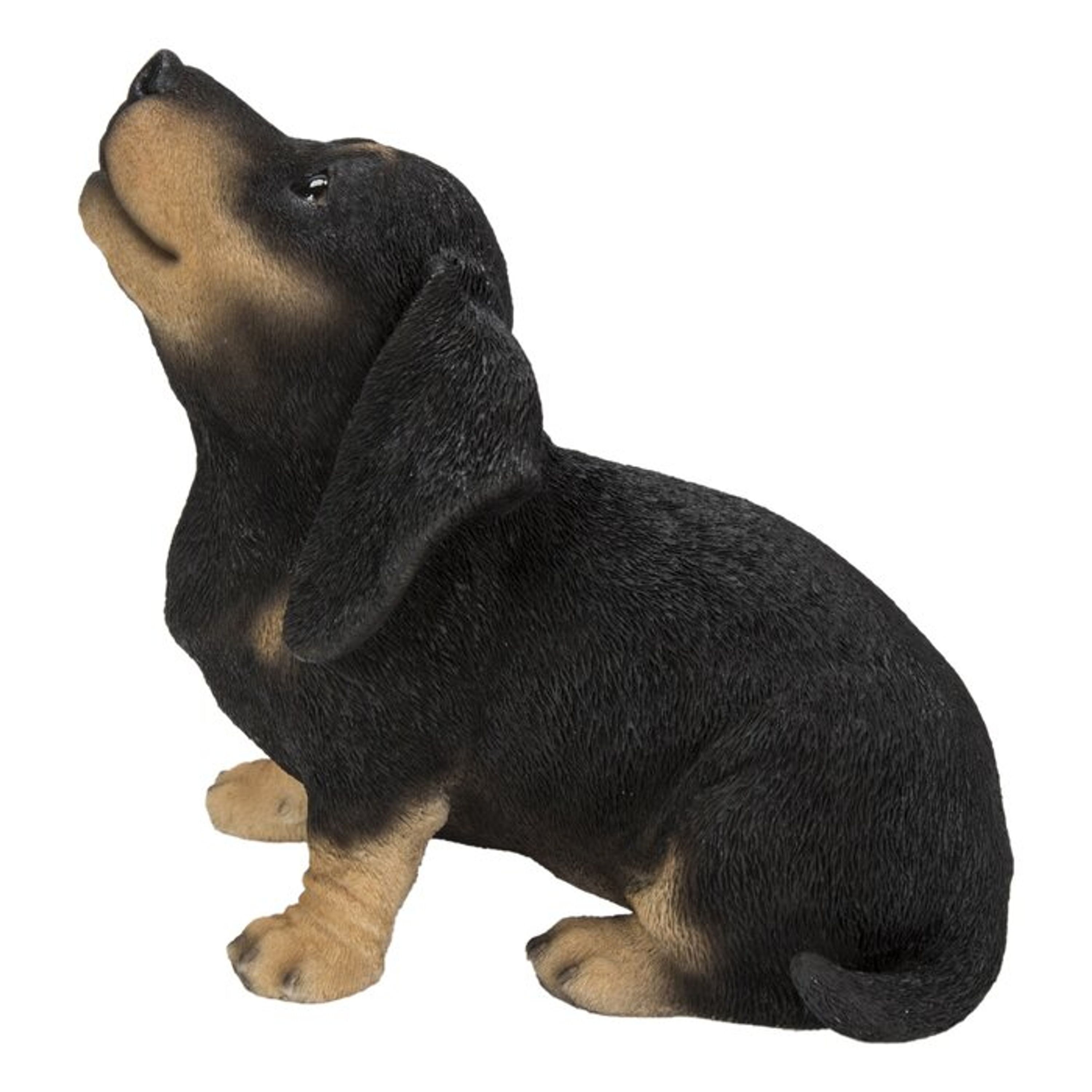 Dachshund Puppy Howling Garden Gnome Statue Home Décor Etsy Australia