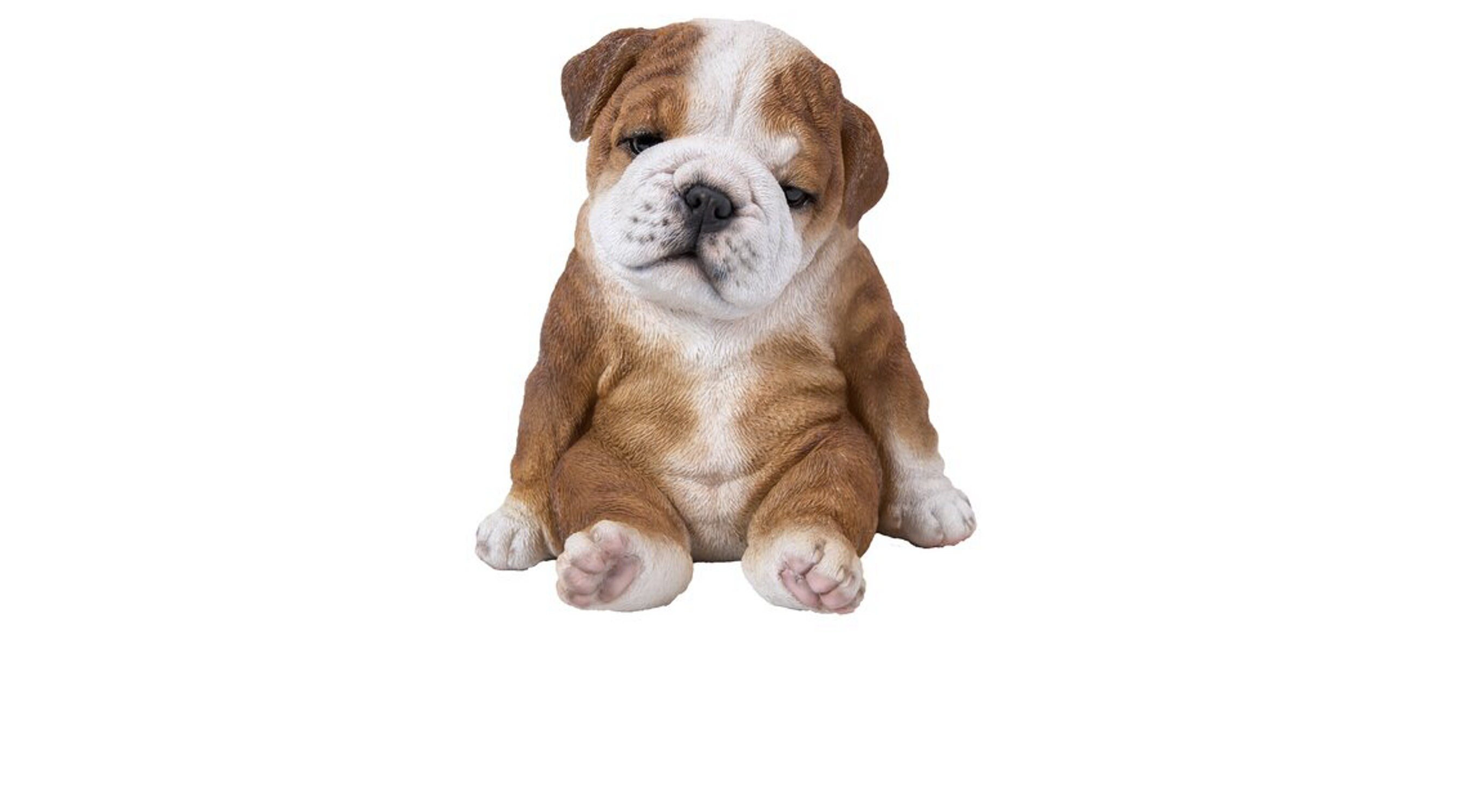 25cm Bull Dog Bulldog Puppy Pup Garden Outdoor Indoor Ornament Figurine Statue 25cm Bull Dog Bulldog Puppy Pup Garden Outdoor Indoor Ornament Figurine Statue