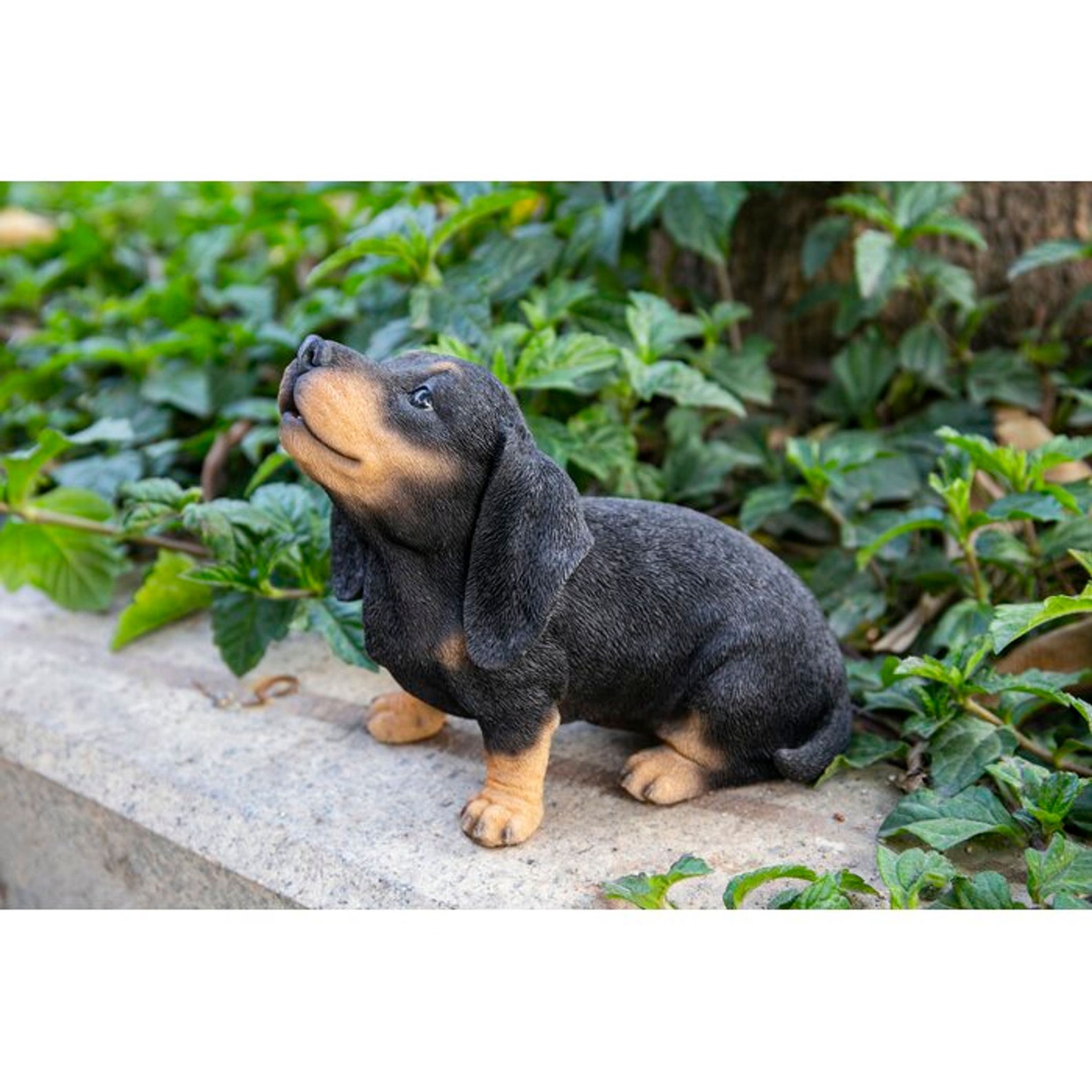 Dachshund Puppy Howling Garden Gnome Statue Home Décor Etsy Australia