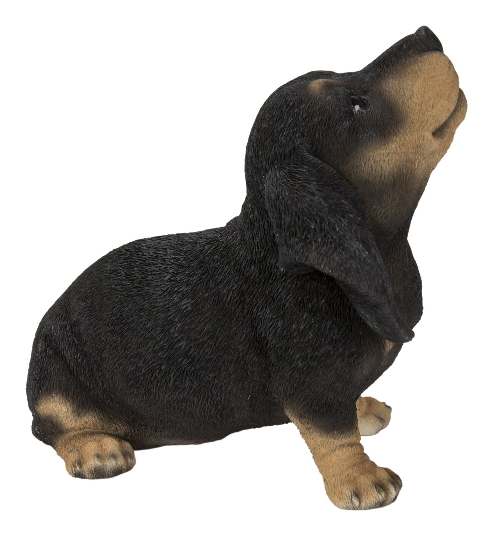 Dachshund Puppy Howling Garden Gnome Statue Home Décor Etsy