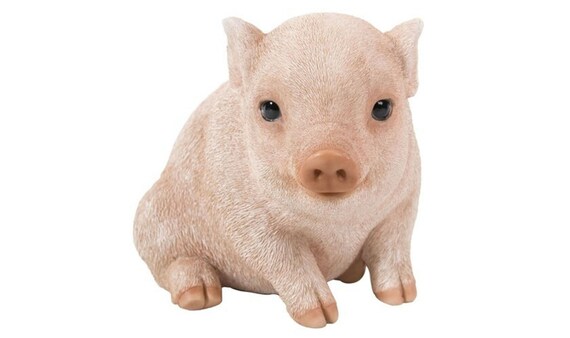 realistic piggy bank