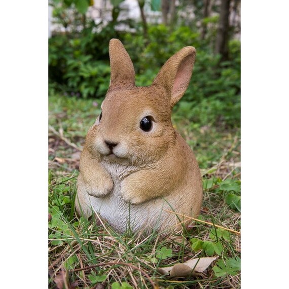 chubby rabbit