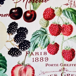 Stof katoenstof &quot;Oogst&quot; fruit fruit vintage digitaal