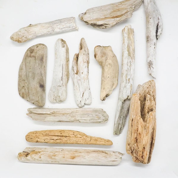 Mixed Driftwood Collection - 12 Pacific Ocean Beachwood Pieces - Vancouver Island Drift Wood - Foraged Beach Treasure - Craft Supply