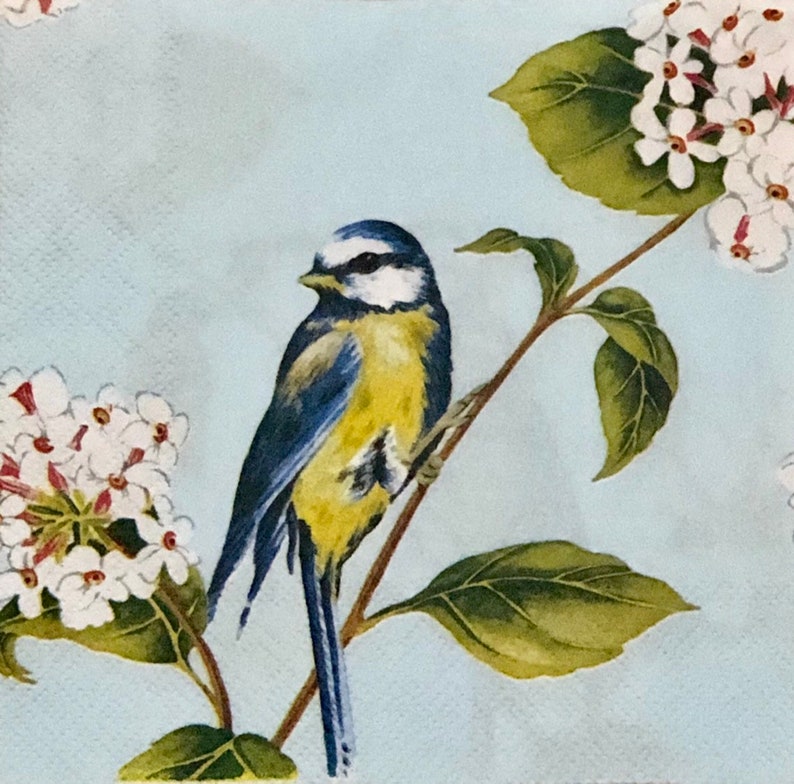 New Beautiful Blue Bird Floral Paper Napkins Decopouging Crafting