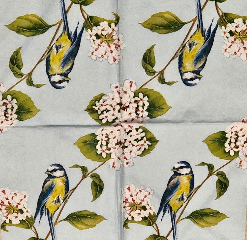 New Beautiful Blue Bird Floral Paper Napkins Decopouging Crafting