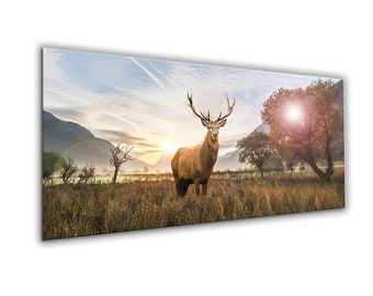 artissimo, glass picture, 125 x 50 cm, picture behind glass, photo, print, mural, poster, modern, landscape format, panorama, deer