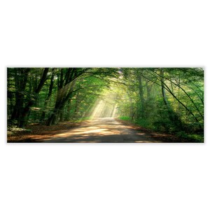 Glasbild, artissimo, 80x30cm, Bild hinter Glas, Foto, Druck, Poster, Wandbild, modern, Querformat, Panorama, Wald, Landschaft, Lichtung grün