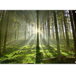 Gartendeko, ausgefallene Gartendekoration, Garten-Poster, Outdoor-Poster, Balkon-Deko, Bild Garten, XXL-Poster wetterfest, Natur Wald grün