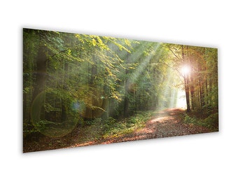 artissimo, Glasbild, 125x50cm, Bild hinter Glas, Foto, Druck, Wandbild, Poster, modern, Querformat, Panorama, Wald, Natur, Bäume, grün