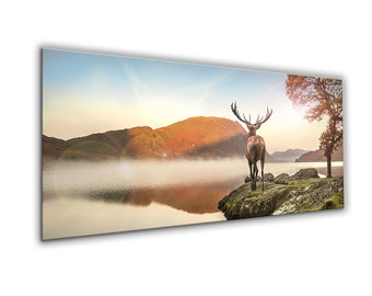 artissimo, glass picture, 125 x 50 cm, picture behind glass, photo, print, mural, poster, modern, landscape format, panorama, deer by the water