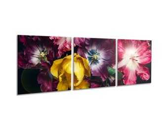artissimo, glasplaat meerdelig XXL, 3-delig ca.150 x 50 cm, bloemen, tulpen, zwart, foto gemaakt van glazen wanddecoratie, muurschildering woonkamer modern