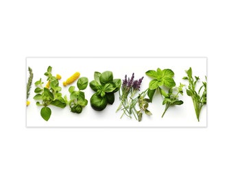 Glass picture, artissimo, 80 x 30 cm, picture behind glass, photo, poster, print, mural living room modern, herbs, basil, mint, kitchen picture