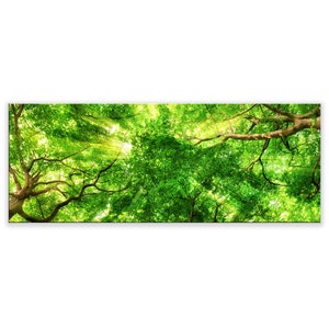 Glasbild, artissimo, 80x30cm, Bild hinter Glas, Foto, Druck, Poster, Wandbild, modern, Querformat, Panorama, Wald, Landschaft, Bäume grün