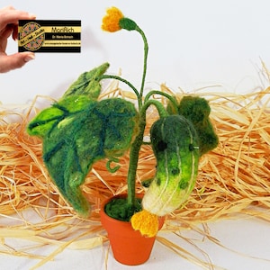 Plante de concombre : aspect naturel, feutré à l’aiguille avec du concombre vert, fleurs jaunes dans un pot en terre cuite, cadeau fait main par MariRich