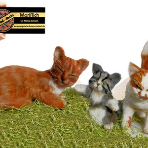 Schlafende Wollfilz Spiralkatze, realistische Katze Figur, Kuscheltier in Originalgröße nach Foto, Geschenk für Katzenliebhaber von MariRich zdjęcie 5