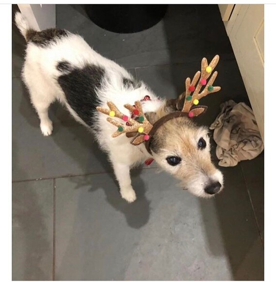 ハート　ジャックラッセルテリア　ヘアアクセサリー他 ハート ジャックラッセルテリア ヘアアクセサリー他 ハートジャック