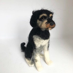 Könnte beinhalten: Nadelfilz-Hundeskulptur. Der Hund sitzt und hat schwarz-weißes Fell. Der Hund hat eine braune Nase und schwarze Augen.