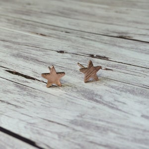 Valentintag Geschenk - Ohrringe Stern - Rosegold Gold oder Silber Ohrstecker: Strukturiert 1 Karte plus Verpackung mit Thank You - Sticker