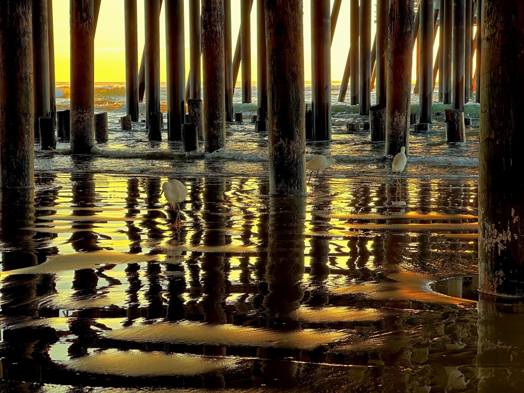 Pismo Beach Pier,seascape,beach Photo Art,seaside Photo,wave,coastal