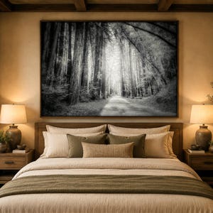 Big Sur Redwoods Print: Black and White Forest Landscape