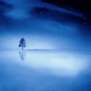 winter wonderland,large abstract wall décor,large wall print,treescape,tree,home décor,large wall art,blue wall decor,blue art,blue abstract
