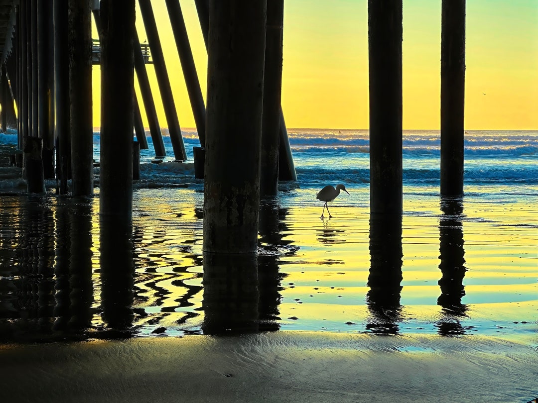 Pismo Beach Pier,seascape,beach Photo Art,seaside Photo,wave,coastal