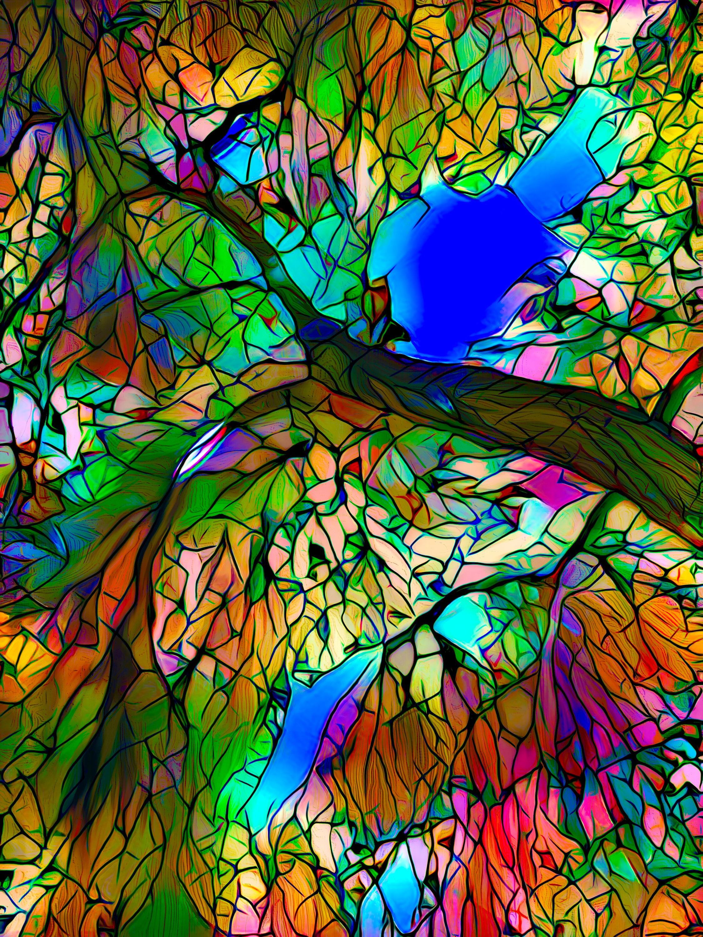 ま*み様 BOWWOW PAINTER'S PAINT STAINED PAIN Stained Glass Tree Canvas Art: Willowy Oak Print - Etsy