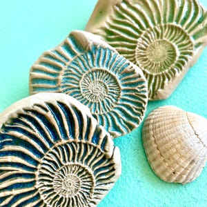 Puede incluir: Tres fósiles de amonites de cerámica con patrones en espiral en tonos azul oscuro, verde azulado y verde claro, acompañados de dos pequeñas piezas de cerámica texturizada en forma de concha de color blanco roto, con un acabado brillante.