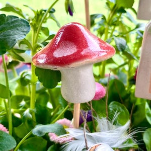 May include: A ceramic mushroom garden stake with a red cap and white spots. The mushroom has a light gray stem and is set among green plants, pink flowers, and white feathers. A whimsical garden decoration.