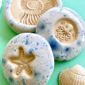 Könnte beinhalten: Drei kreisförmige Keramikobjekte mit weißer Glasur und blauen Sprenkeln. Eines zeigt ein geprägtes Ammonitenfossil, ein anderes einen erhabenen Oktopus und das dritte einen Seesternabdruck. Eine kleine, natürliche Muschel liegt in der unteren Ecke.