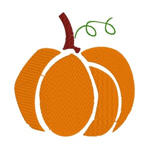 May include: Embroidered orange pumpkin with a textured appearance. The pumpkin has a dark brown stem and a green, swirled vine. The design is likely for fall-themed crafts or decorations.