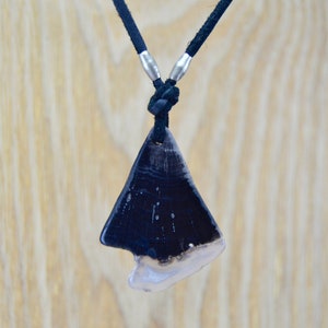 Petrified Wood Necklace